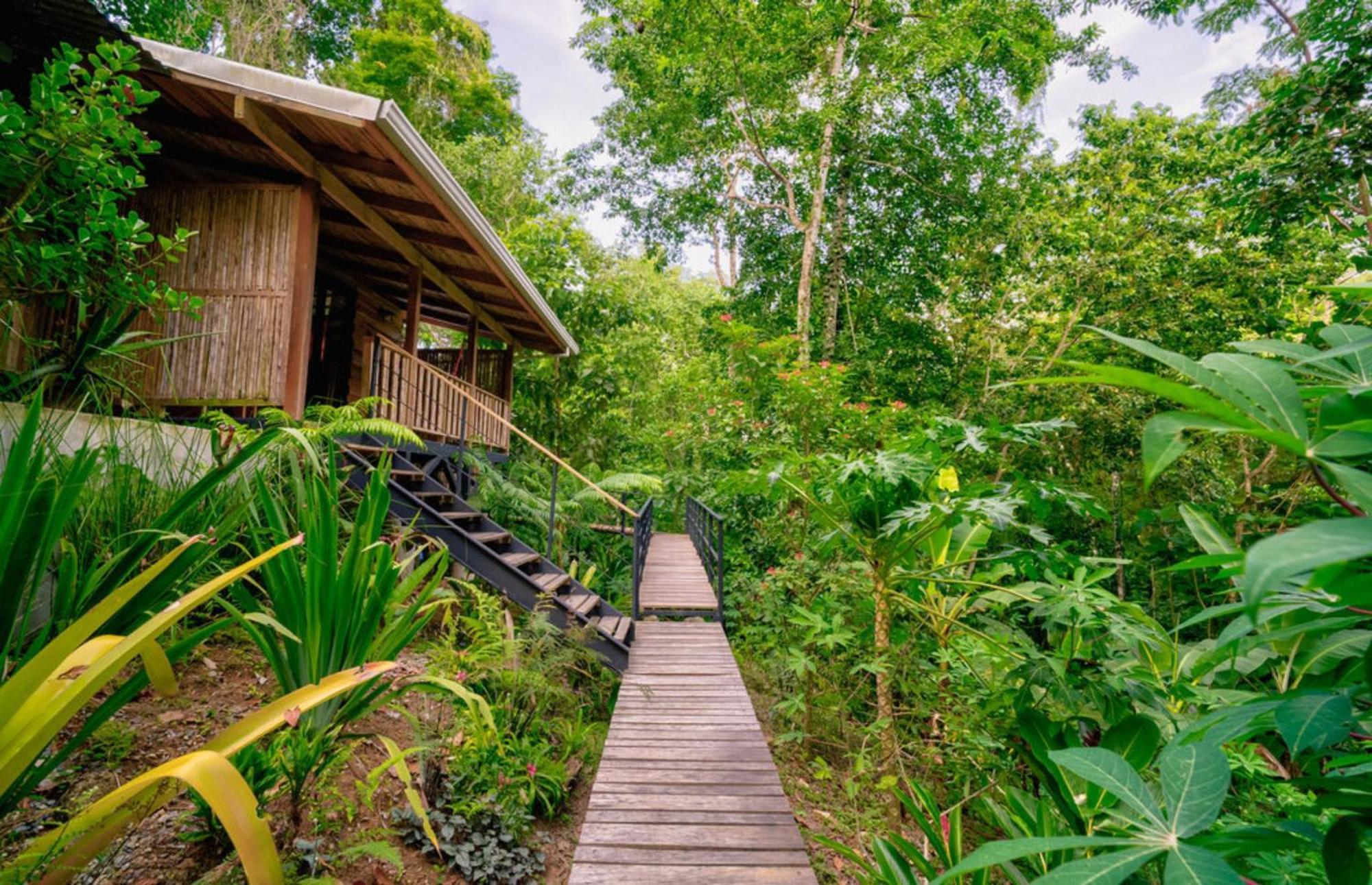 Vila La Shamana - Ecological Concept In Jungle Cahuita Pokoj fotografie