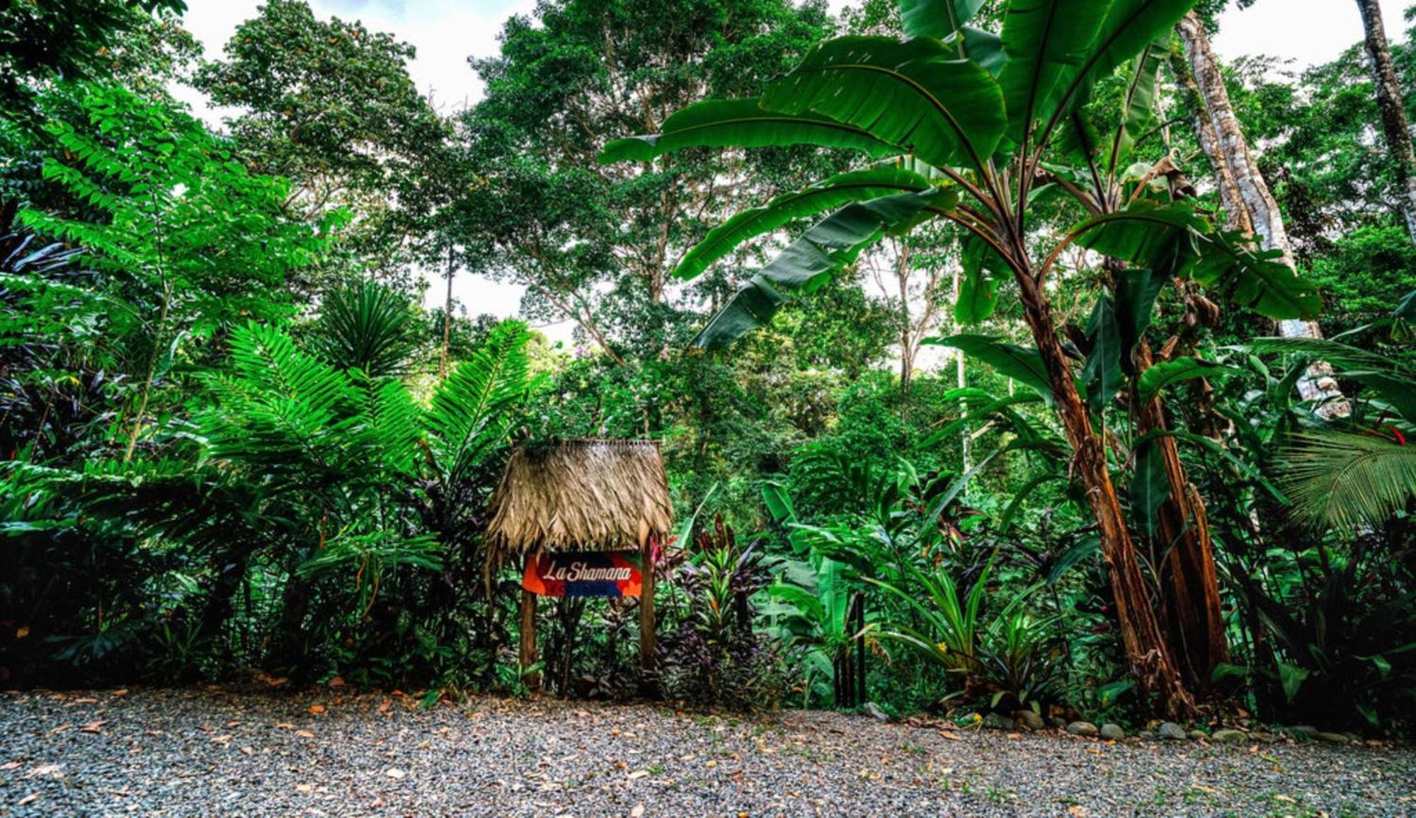 Vila La Shamana - Ecological Concept In Jungle Cahuita Exteriér fotografie
