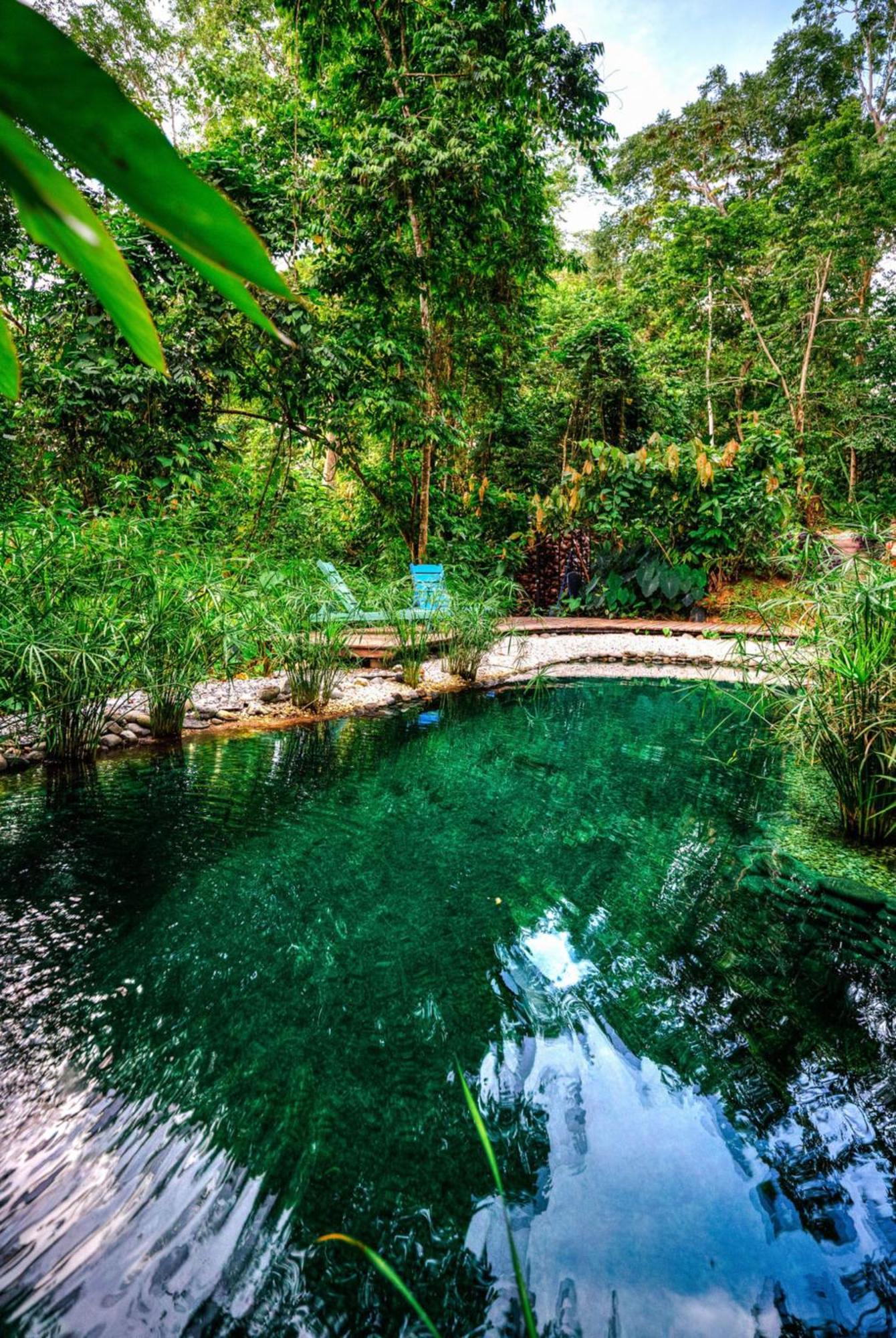 Vila La Shamana - Ecological Concept In Jungle Cahuita Exteriér fotografie