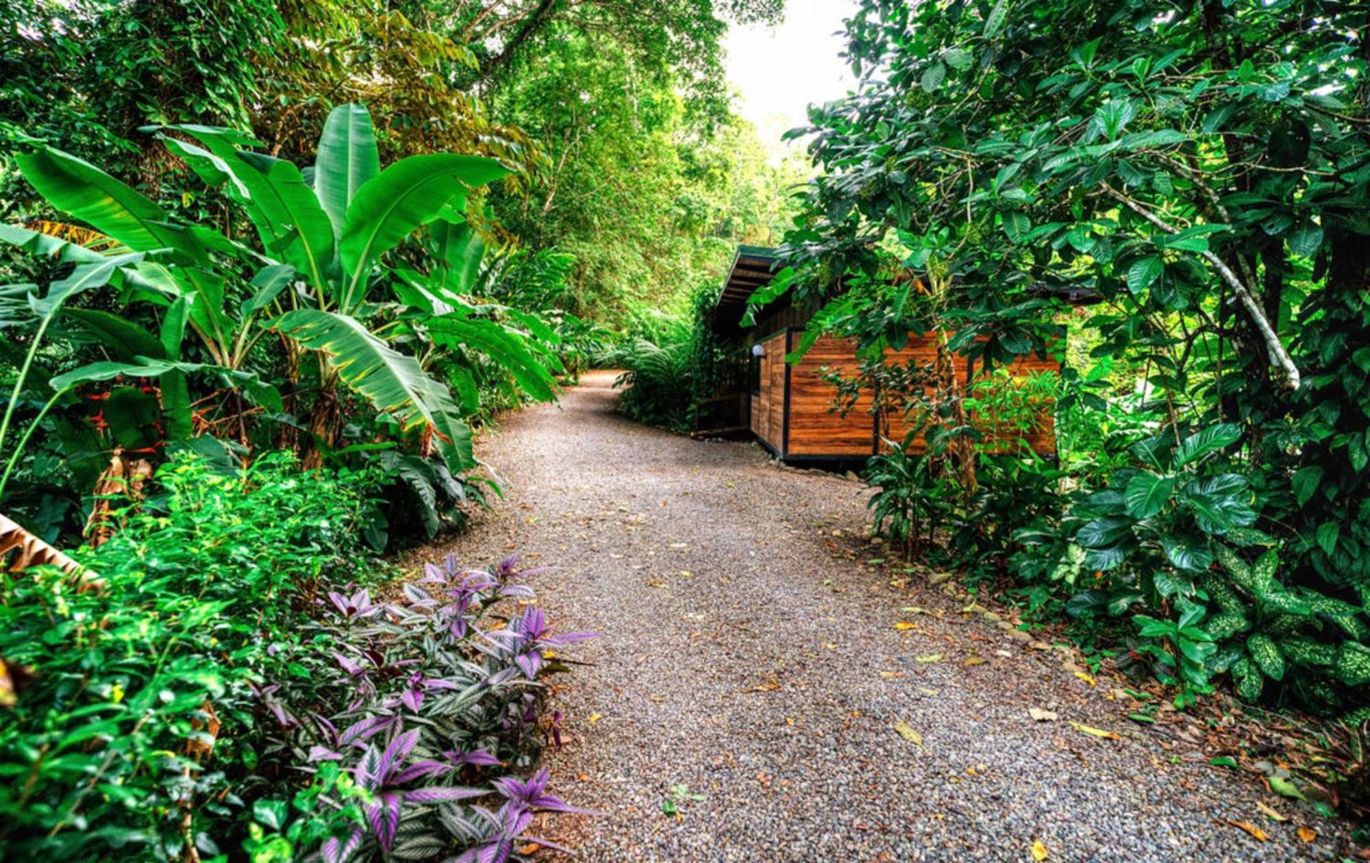 Vila La Shamana - Ecological Concept In Jungle Cahuita Exteriér fotografie