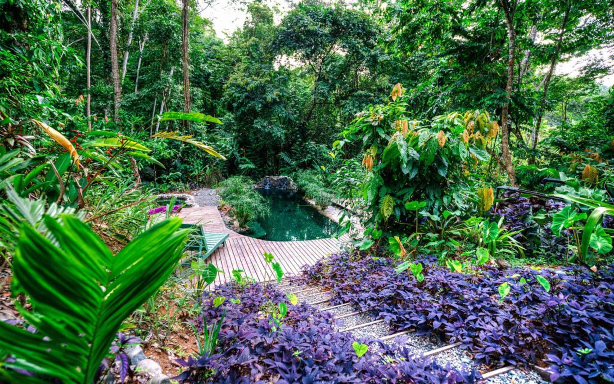 Vila La Shamana - Ecological Concept In Jungle Cahuita Exteriér fotografie