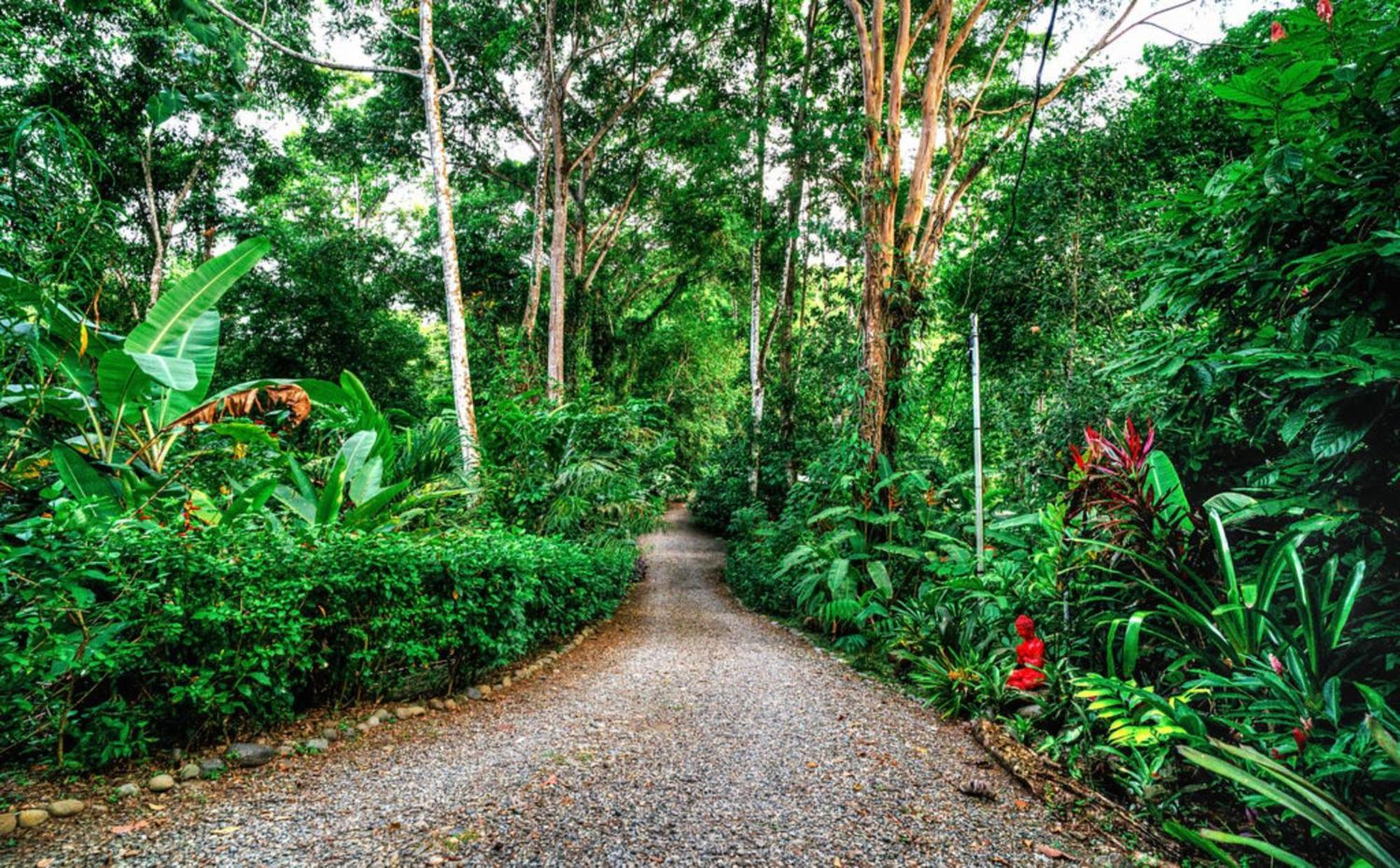 Vila La Shamana - Ecological Concept In Jungle Cahuita Exteriér fotografie