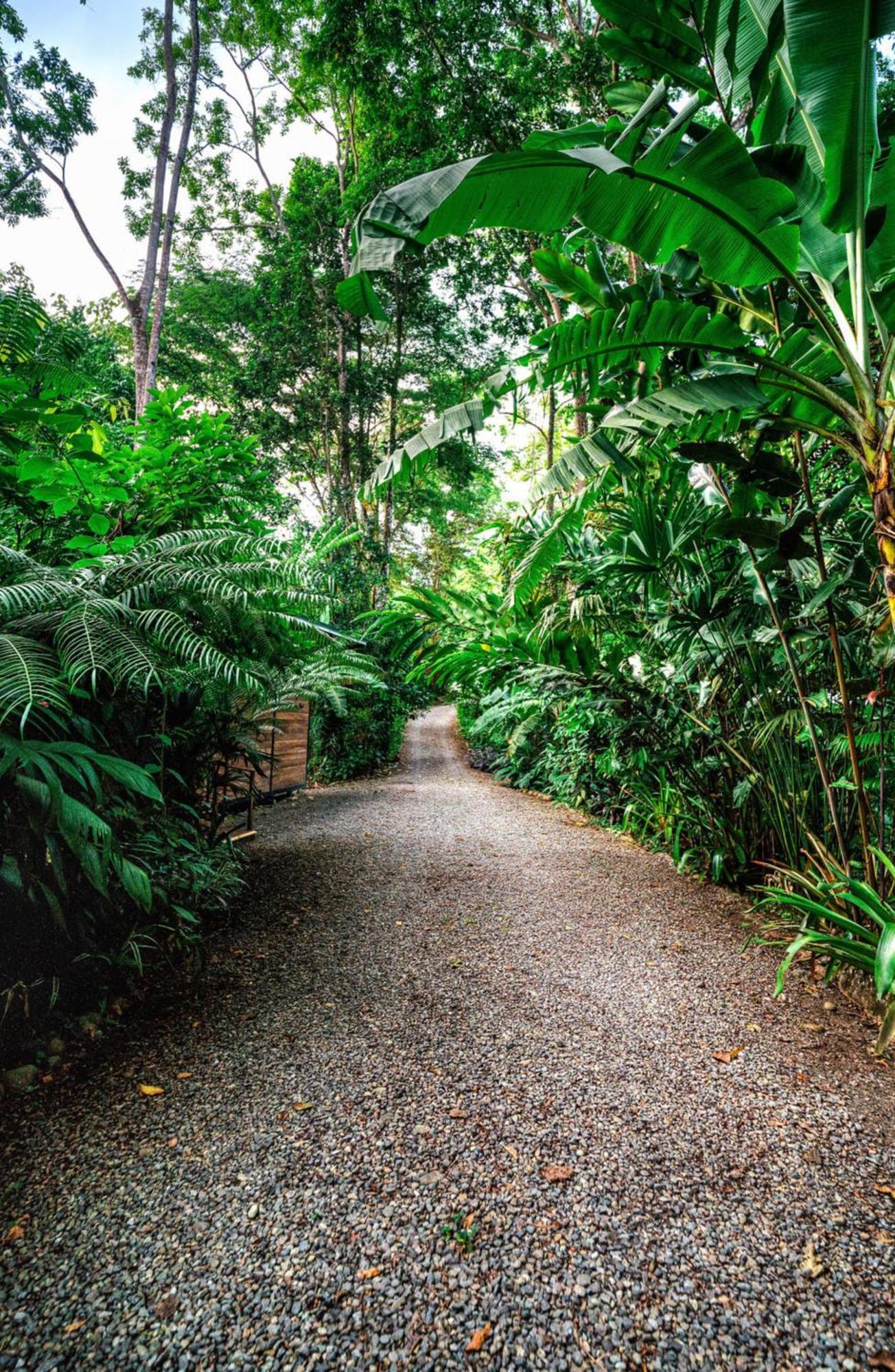 Vila La Shamana - Ecological Concept In Jungle Cahuita Exteriér fotografie